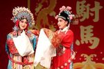 女驸马 新视觉版下载