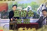 蓝桥会 （4）下载