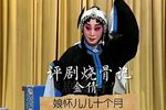 烧骨记下载
